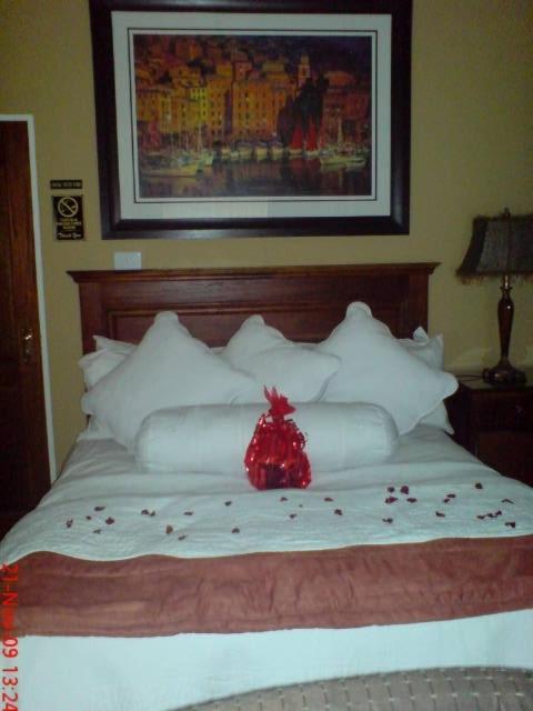 Le Cozmo Guesthouse Johannesburg Værelse billede